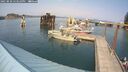 ./images/quadra/hbidock/20250830/hbidock20250830_153511M.jpg