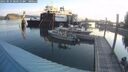./images/quadra/hbidock/20250831/hbidock20250831_081010M.jpg