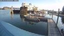 ./images/quadra/hbidock/20250831/hbidock20250831_090000M.jpg