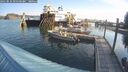 ./images/quadra/hbidock/20250831/hbidock20250831_091500M.jpg