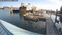 ./images/quadra/hbidock/20250831/hbidock20250831_092000M.jpg