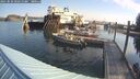 ./images/quadra/hbidock/20250831/hbidock20250831_092510M.jpg