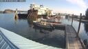 ./images/quadra/hbidock/20250831/hbidock20250831_093011M.jpg