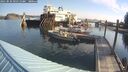 ./images/quadra/hbidock/20250831/hbidock20250831_093510M.jpg