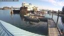 ./images/quadra/hbidock/20250831/hbidock20250831_094000M.jpg