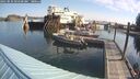 ./images/quadra/hbidock/20250831/hbidock20250831_094500M.jpg
