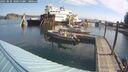 ./images/quadra/hbidock/20250831/hbidock20250831_100011M.jpg