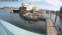 ./images/quadra/hbidock/20250831/hbidock20250831_100511M.jpg