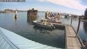 ./images/quadra/hbidock/20250831/hbidock20250831_103010M.jpg