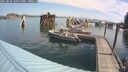 ./images/quadra/hbidock/20250831/hbidock20250831_104511M.jpg