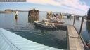 ./images/quadra/hbidock/20250831/hbidock20250831_110011M.jpg