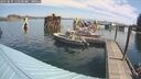 ./images/quadra/hbidock/20250831/hbidock20250831_110500M.jpg