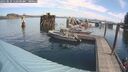 ./images/quadra/hbidock/20250831/hbidock20250831_112500M.jpg