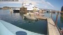 ./images/quadra/hbidock/20250831/hbidock20250831_134010M.jpg