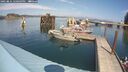 ./images/quadra/hbidock/20250831/hbidock20250831_140509M.jpg