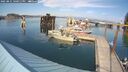 ./images/quadra/hbidock/20250831/hbidock20250831_160011M.jpg