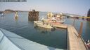 ./images/quadra/hbidock/20250901/hbidock20250901_145500M.jpg