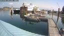 ./images/quadra/hbidock/20250902/hbidock20250902_110011M.jpg
