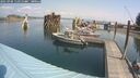 ./images/quadra/hbidock/20250902/hbidock20250902_113511M.jpg