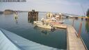 ./images/quadra/hbidock/20250902/hbidock20250902_153012M.jpg