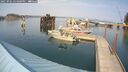 ./images/quadra/hbidock/20250902/hbidock20250902_154000M.jpg