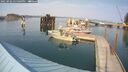 ./images/quadra/hbidock/20250902/hbidock20250902_155509M.jpg