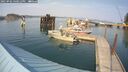 ./images/quadra/hbidock/20250902/hbidock20250902_160012M.jpg