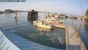 ./images/quadra/hbidock/20250902/hbidock20250902_171500M.jpg