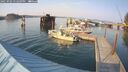./images/quadra/hbidock/20250902/hbidock20250902_172509M.jpg