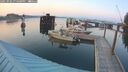 ./images/quadra/hbidock/20250902/hbidock20250902_194508M.jpg