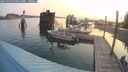./images/quadra/hbidock/20250903/hbidock20250903_071010M.jpg