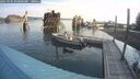 ./images/quadra/hbidock/20250903/hbidock20250903_091000M.jpg