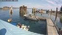 ./images/quadra/hbidock/20250903/hbidock20250903_115510M.jpg
