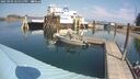 ./images/quadra/hbidock/20250903/hbidock20250903_125511M.jpg