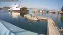 ./images/quadra/hbidock/20250903/hbidock20250903_151010M.jpg