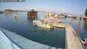 ./images/quadra/hbidock/20250903/hbidock20250903_152500M.jpg