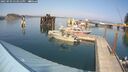 ./images/quadra/hbidock/20250903/hbidock20250903_153012M.jpg