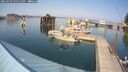 ./images/quadra/hbidock/20250903/hbidock20250903_153511M.jpg