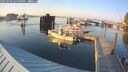 ./images/quadra/hbidock/20250903/hbidock20250903_185000M.jpg