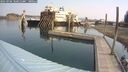 ./images/quadra/hbidock/20250904/hbidock20250904_104011M.jpg