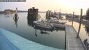 ./images/quadra/hbidock/20250905/hbidock20250905_082000M.jpg
