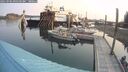 ./images/quadra/hbidock/20250905/hbidock20250905_090509M.jpg