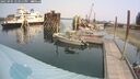 ./images/quadra/hbidock/20250905/hbidock20250905_123511M.jpg
