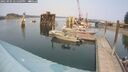 ./images/quadra/hbidock/20250905/hbidock20250905_141509M.jpg