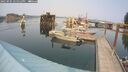 ./images/quadra/hbidock/20250905/hbidock20250905_145012M.jpg
