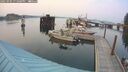 ./images/quadra/hbidock/20250905/hbidock20250905_191000M.jpg