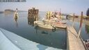./images/quadra/hbidock/20250906/hbidock20250906_142000M.jpg