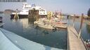 ./images/quadra/hbidock/20250906/hbidock20250906_144011M.jpg