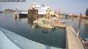 ./images/quadra/hbidock/20250906/hbidock20250906_144511M.jpg