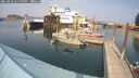 ./images/quadra/hbidock/20250906/hbidock20250906_145500M.jpg